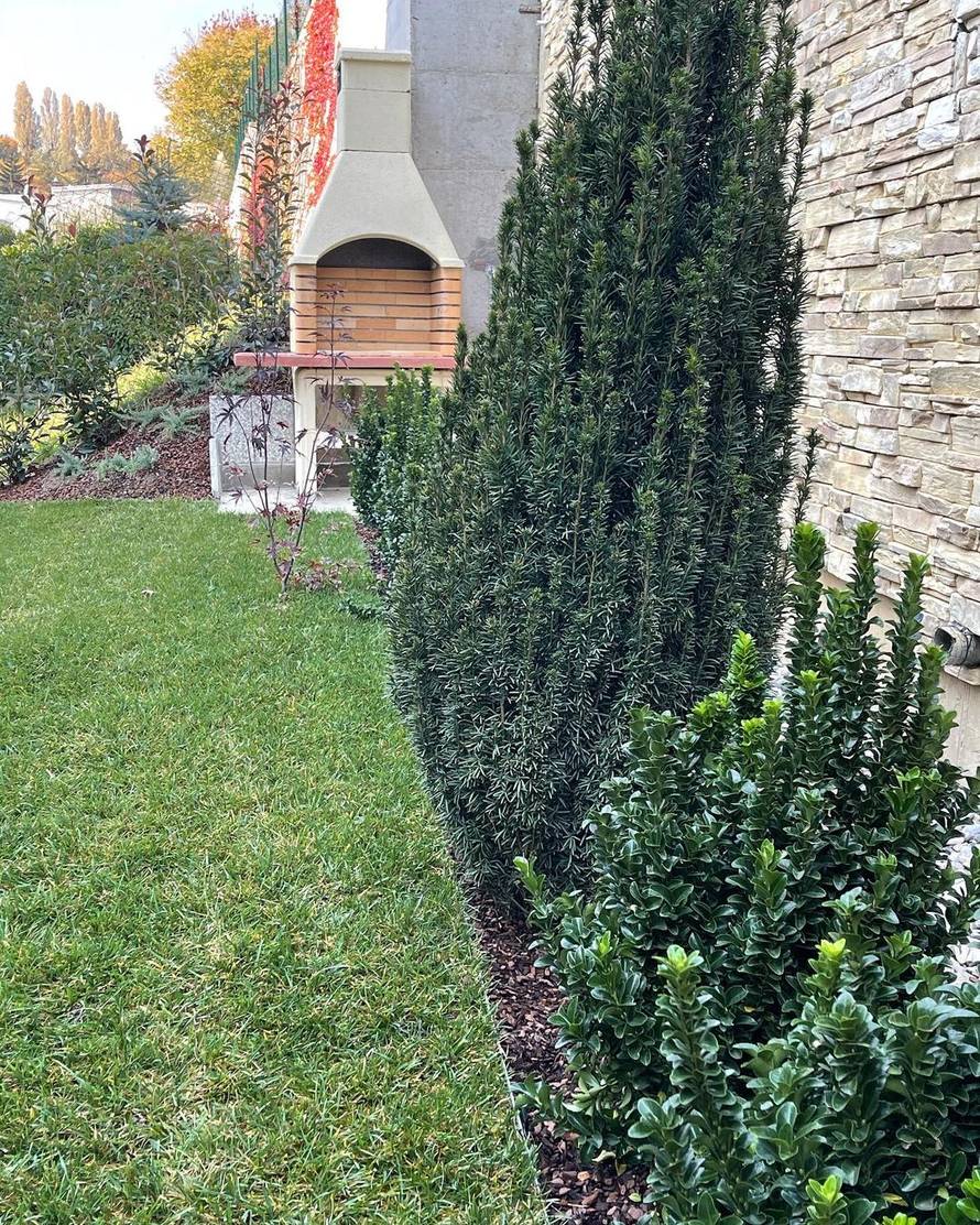 Sonja Kovač pokazala svoj novi raskošni vrt: 'To je investicija!'