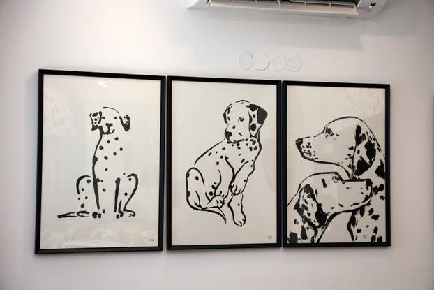 Šibenik:Otvoren muzej dalmatinskom psu,dalmatincu 