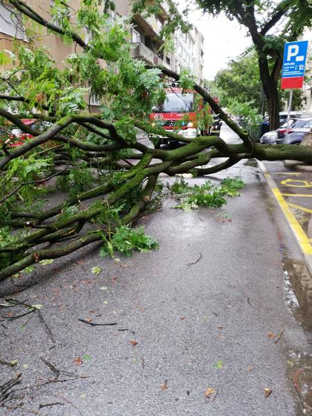 Nevrijeme u Zagrebu: Na auto palo stablo, blokiralo je i ulicu