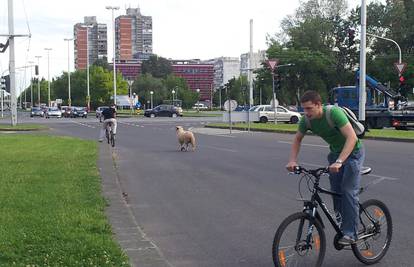 Potjera po Zagrebu: Uhapsili su ovna pred Poreznom upravom