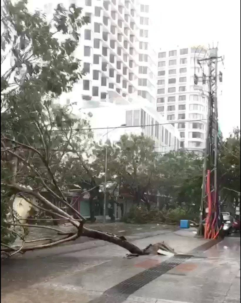 Fallen trees obstruct a street during a storm in Nha Trang, as Typhoon Damrey descends on southern Vietnam