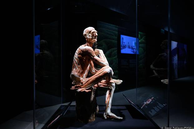 Zagreb: Konferencija uoči otvorenja izložbe seciranih ljudskih tijela Body Worlds Vital