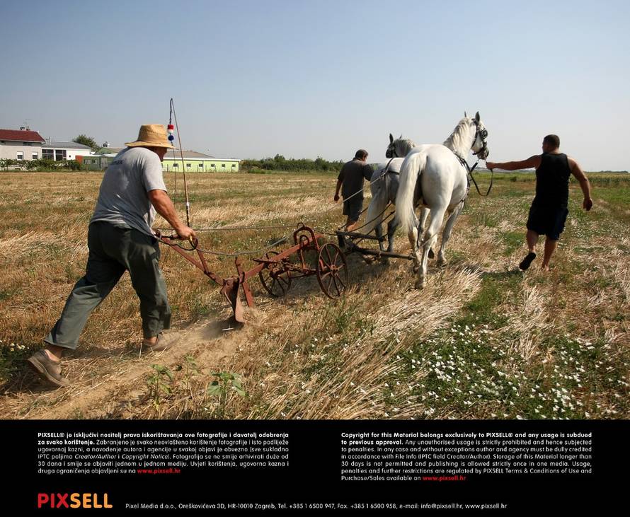 Davor Javorović/Pixsell