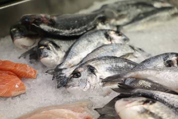 Osijek: Ponuda ribe na osje&ccaron;koj tr&zcaron;nici