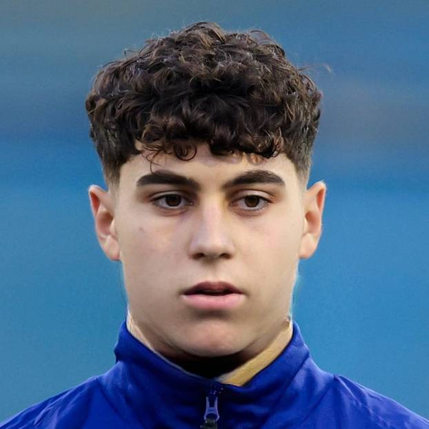 FOTO Kako bi poznati hrvatski sportaši izgledali bez brade? Livaja, Petković, Joško, Rudić...