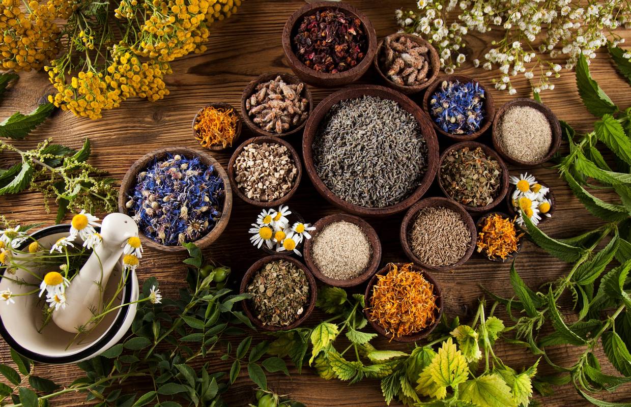 Adaptogene biljke: Sibirski ginseng protiv umora i slabosti, ašvaganda ...