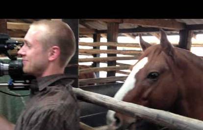 Pravi žigolo: Zaljubljeni konj kamermana je grickao za uho 