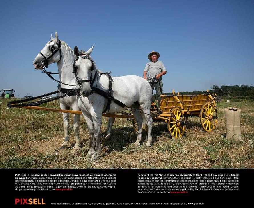 Davor Javorović/Pixsell