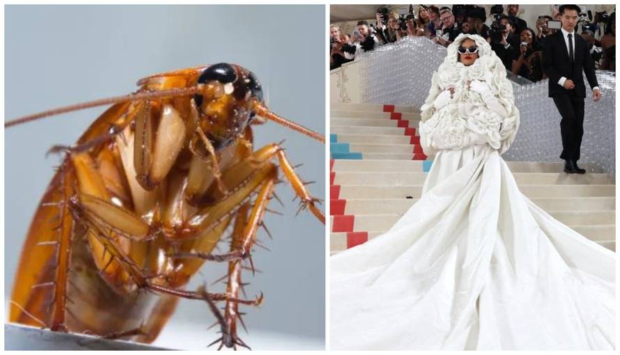 VIDEO Žohar posjetio Met Galu: 'Aaa nemojte ga ubiti, nemojte'