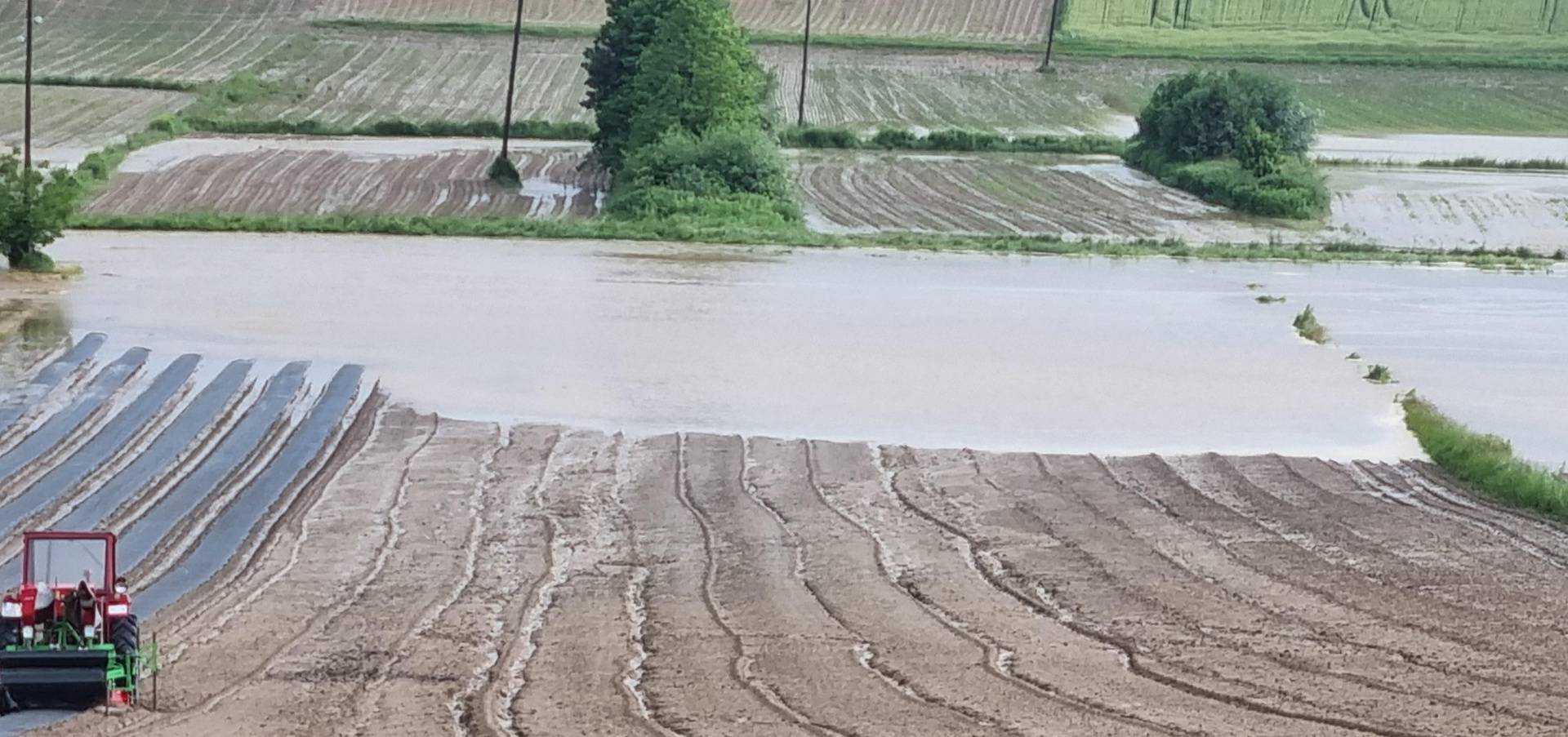 Poplave uništile usjeve u blizini Bjelovara: 'Izgubili smo barem 10.000 eura, ništa ne možemo'