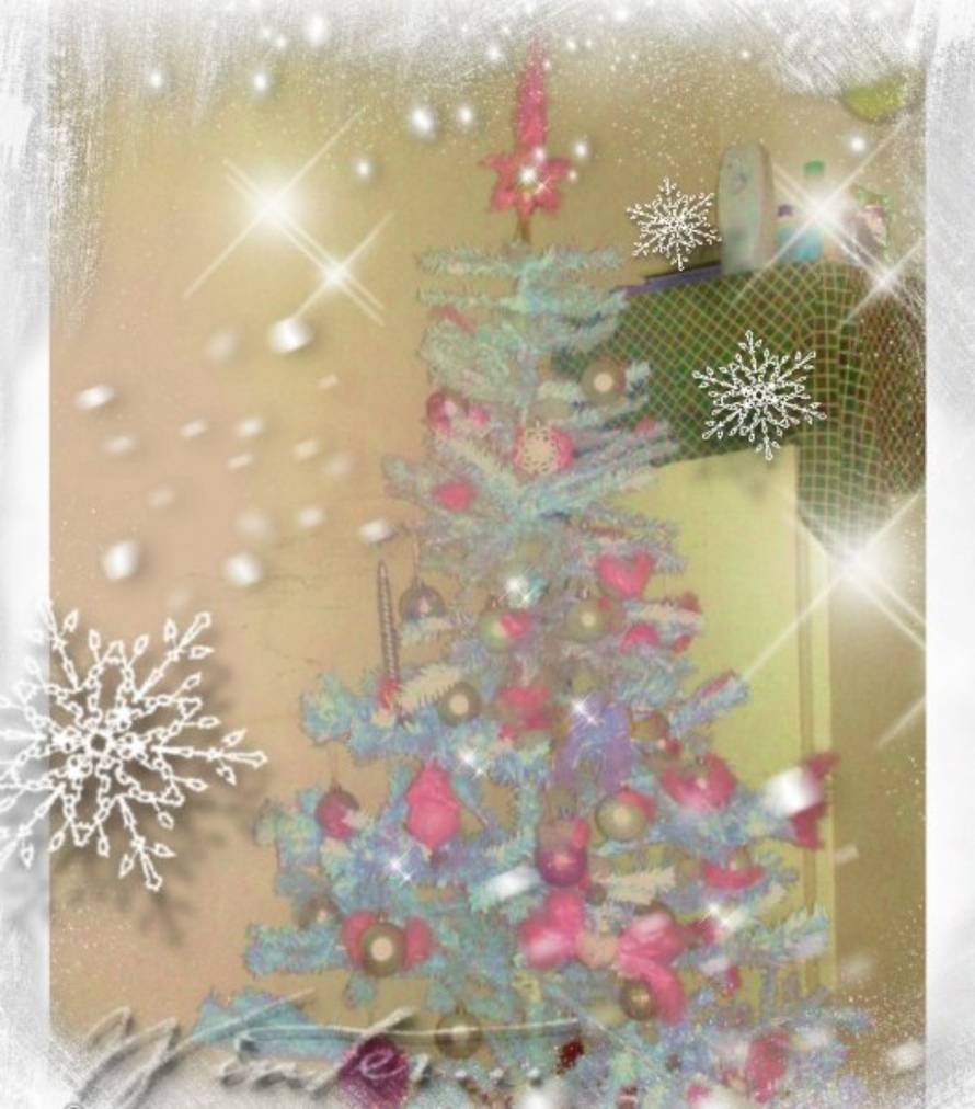 Šaljite fotografije božićnih jelki i osvojite vrijednu nagradu...