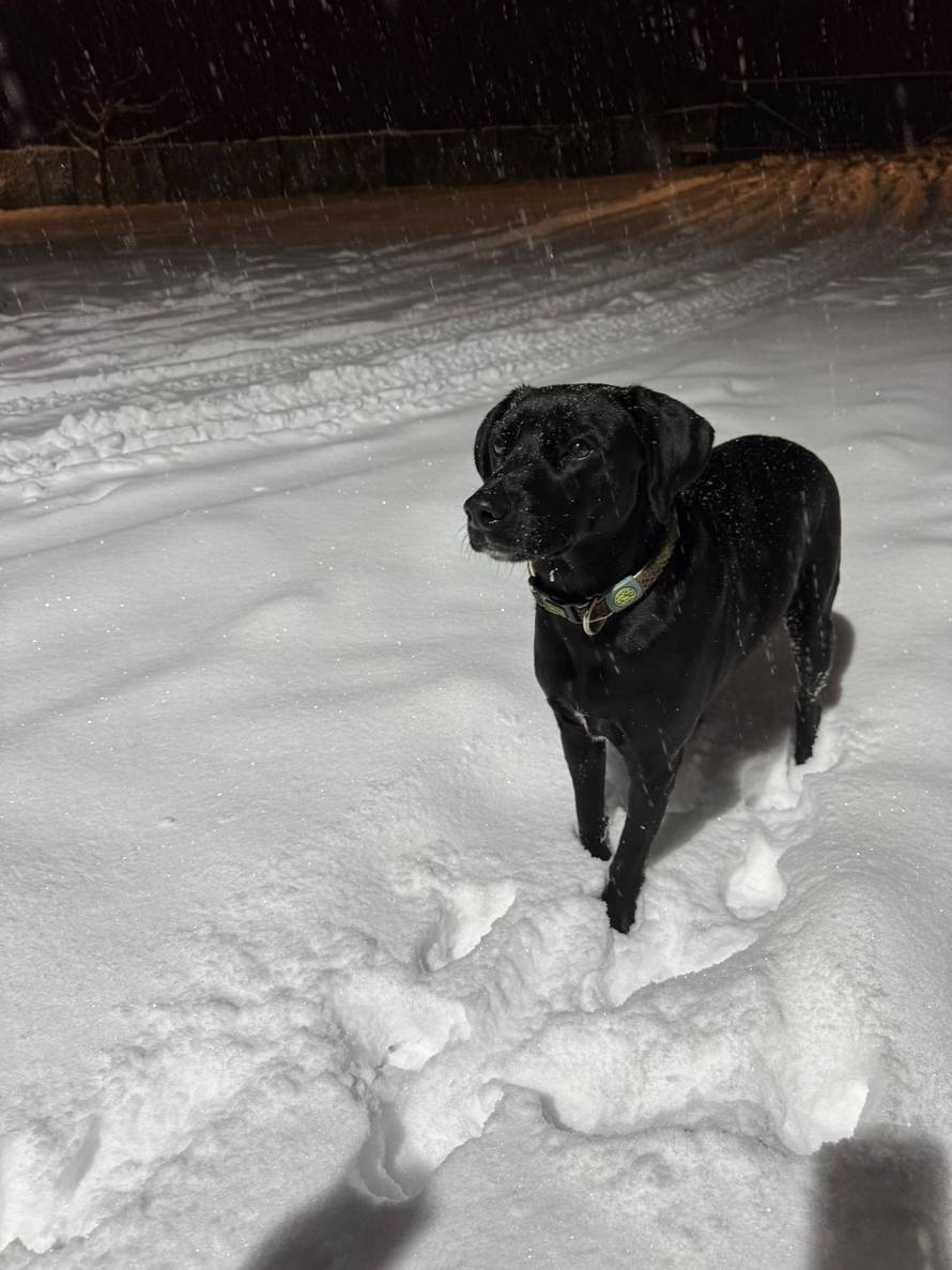 Općinska komunalka sama 'izlopatala' snijeg sa staze: 'Nema nikakve drame u tome'