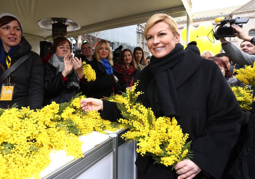 Dan mimoza: Intimno zdravlje žene krhko je poput cvijeta...