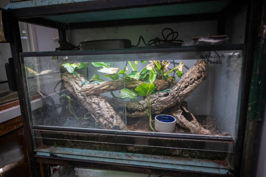 24sata Zagreb: Rodilište u Zoološkom vrtu