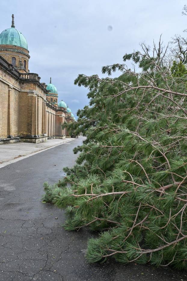Zagreb: U nevremenu teško  oštećeno gradsko groblje Mirogoj