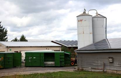 Mađarska: Ptičja gripa na farmi