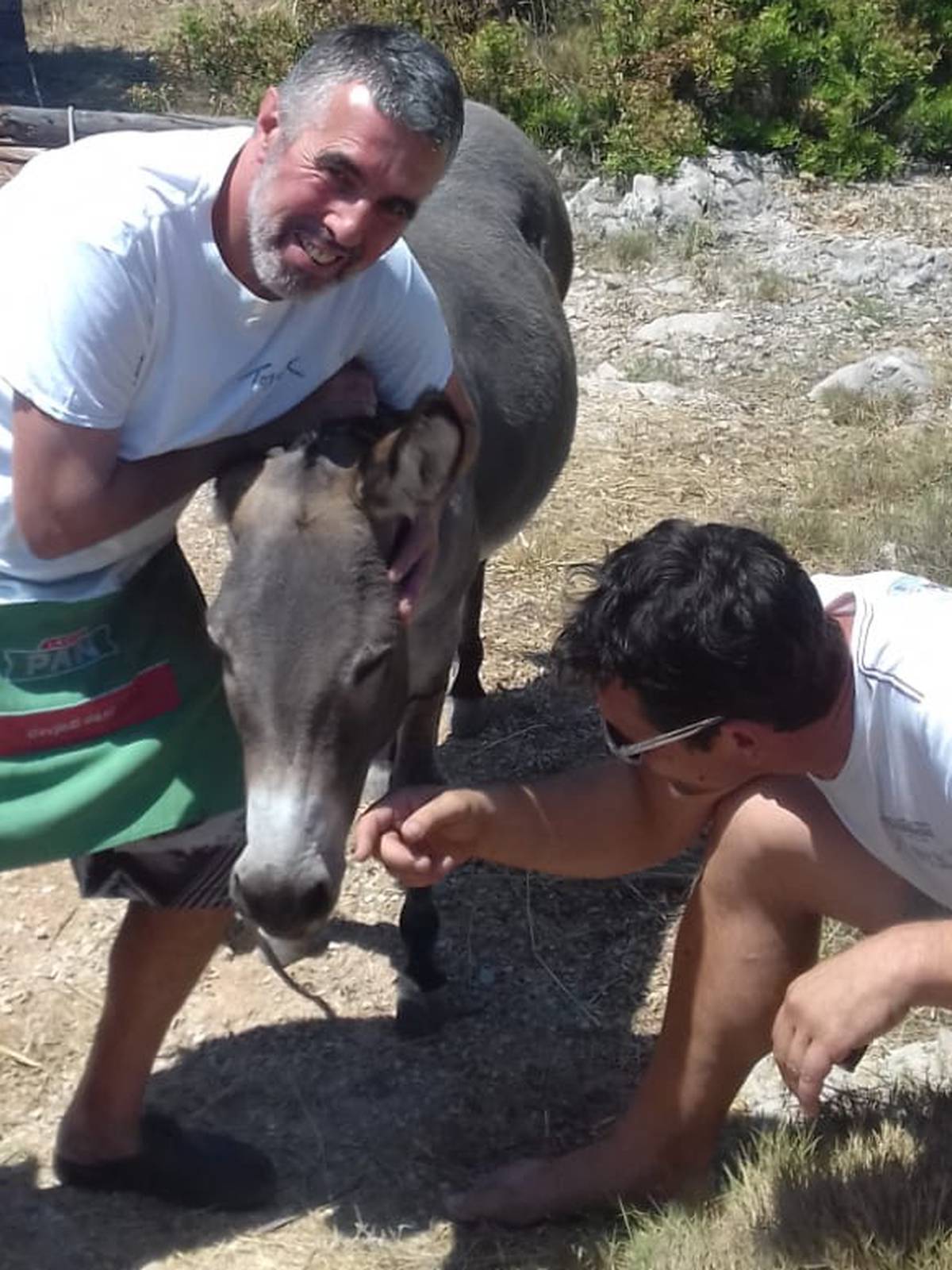 'Magarica Mija je super. Ali  ide kući, javio se njezin vlasnik...'