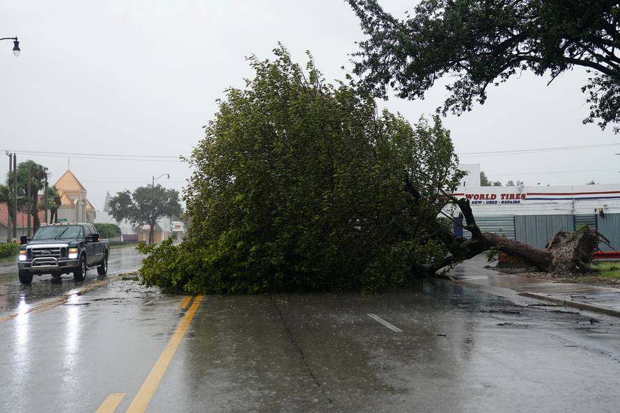 A fallen tree blocks Biscayne Blvd. as Hurricane Irma arrives in Hollywood, Florida