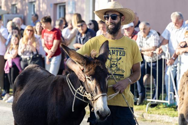 Pula: Održana je tradicionalna 55. Trka na tovari