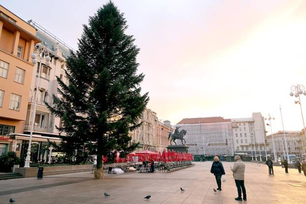 Zagreb: Na Trgu bana Jelačića postavljen bor