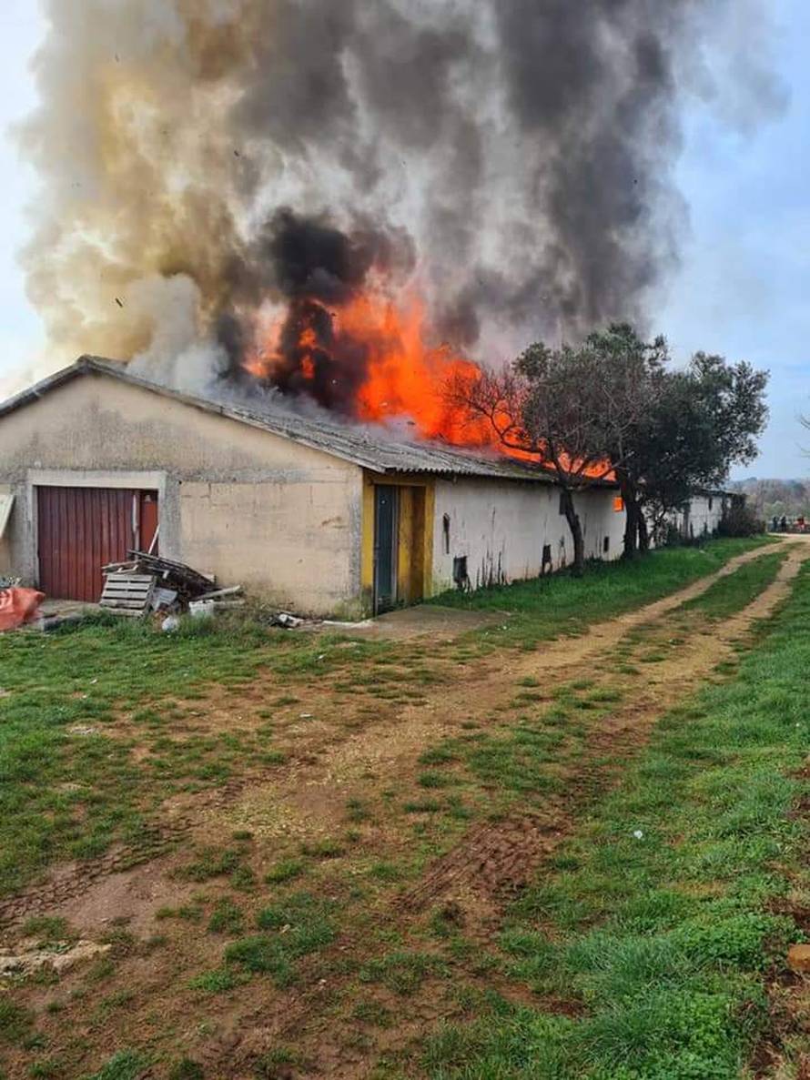 Kod Rovinja netko je namjerno zapalio staru farmu pilića koja je u potpunosti izgorjela