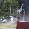 VIDEO Bizon napao turista u Yellowstoneu! Bacio ga u zrak, snimka napada &scaron;okirala sve