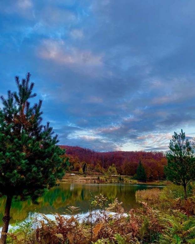 Đokovićevo carstvo nekretnina: Penthouse na Jadranu i New Yorku, španjolska vila, hoteli...