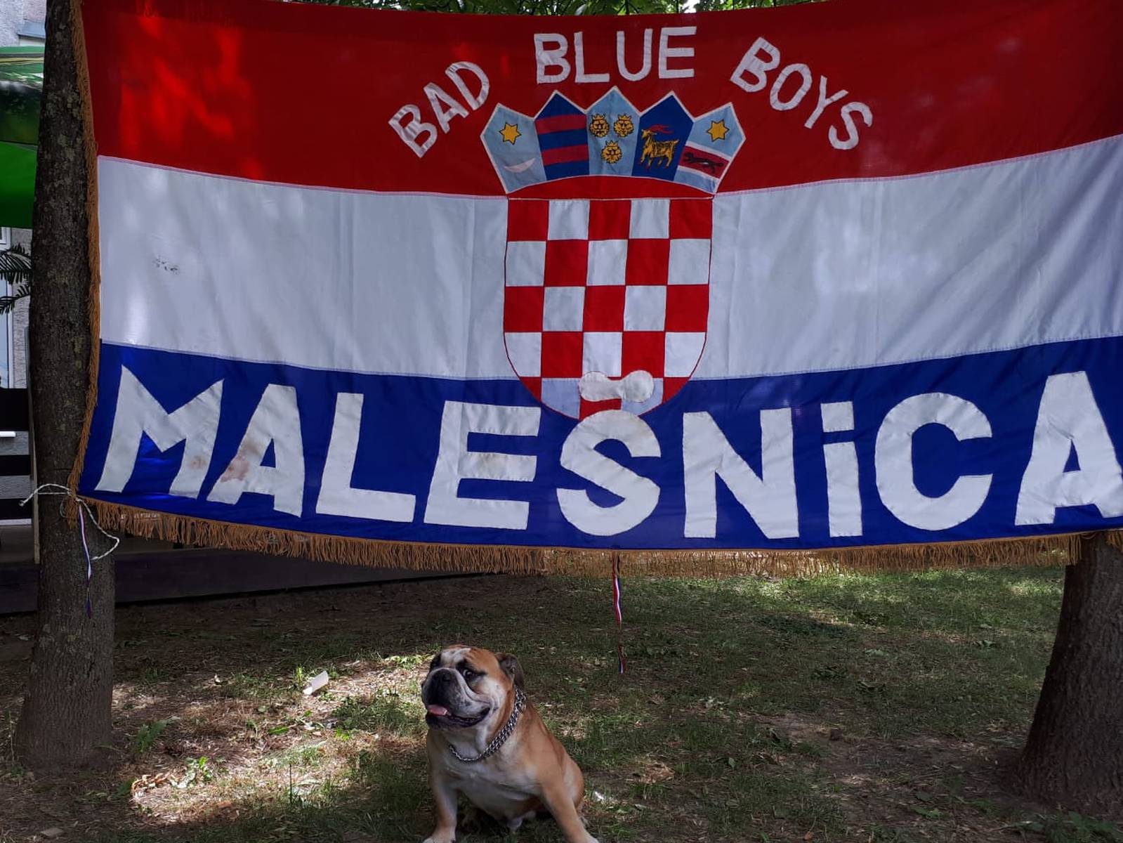 Vjerni navijači: Branili su boje Hrvatske i u Velikoj Britaniji