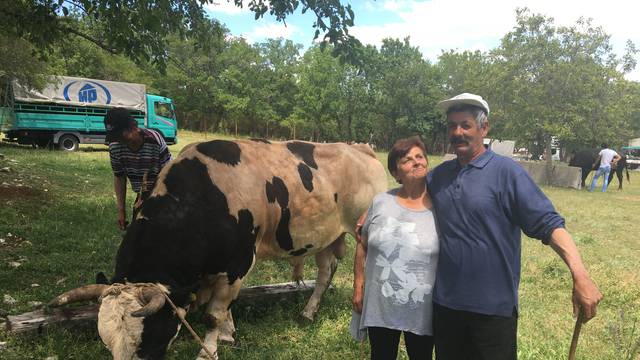 Varaždinka u Dalmaciji: 'Zbog bikova našla sam ljubav života'