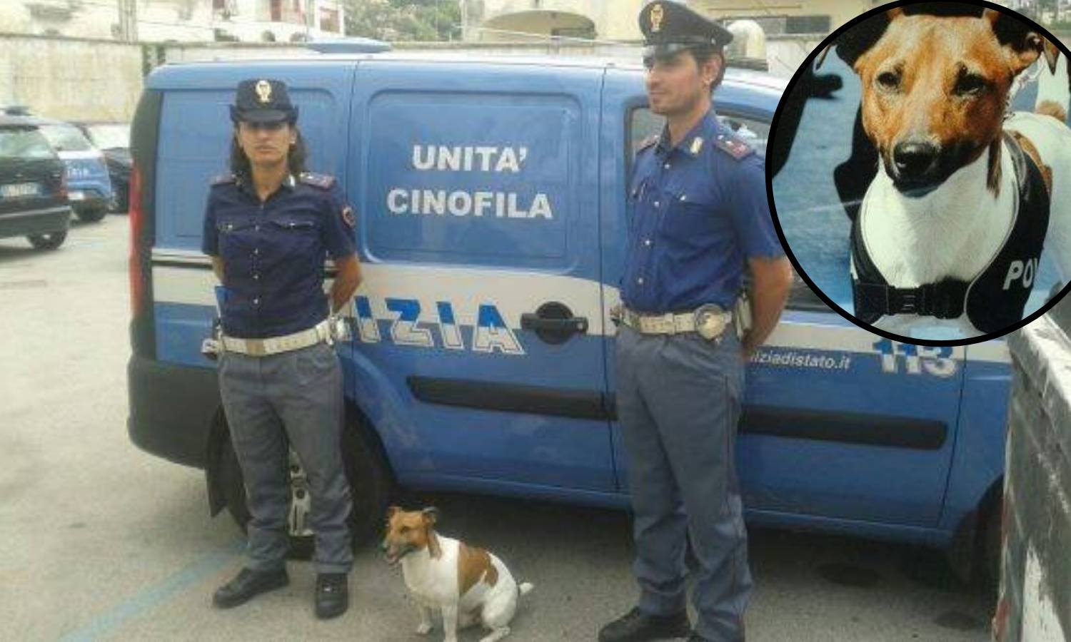 'Koštao nas je milijune!': Mafija nudi 5.000 € za ubojstvo - psa