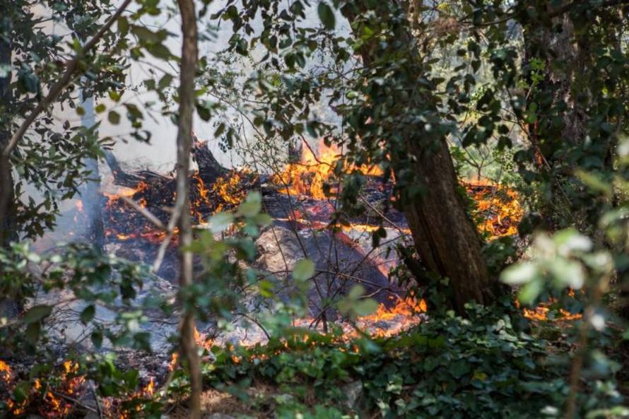 Grgo Jelavic/PIXSELL 