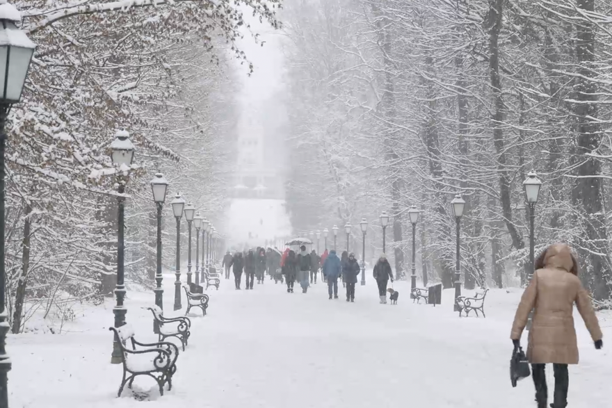 Zimska idila u Zagrebu: Neki se sanjkali, a nekima auto zapeo na putu prema Sljemenu
