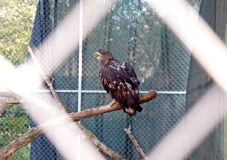 Jeste li čuli za Plemićku rutu? Uvući će vas u jednu posebnu priču o  Slavoniji i Podravini...