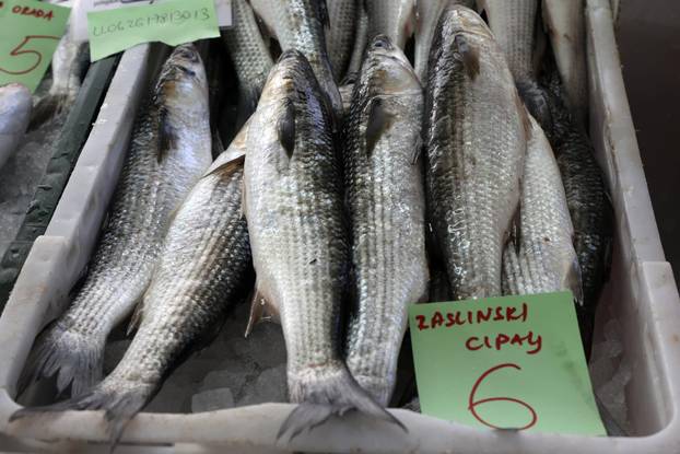 Šibenik: Ponuda na šibenskoj ribarnici