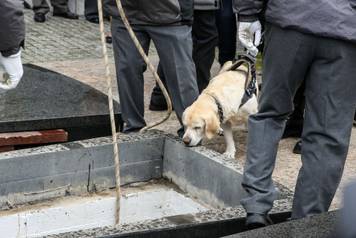The legendary basketball coach, Dusko Vujosevic, was buried in the Alley of Meritorious Citizens at the New Cemetery.Legendarni kosarkaski trener, Dusko Vujosevic sahranjen je u Aleji zasluznih gradjana na Novom groblju.