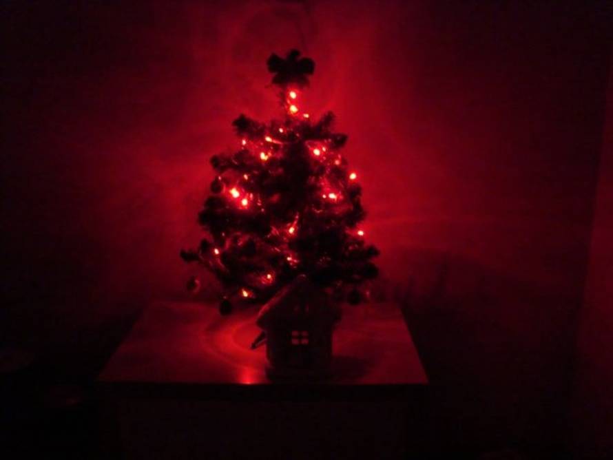 Šaljite fotografije božićnih jelki i osvojite vrijednu nagradu...