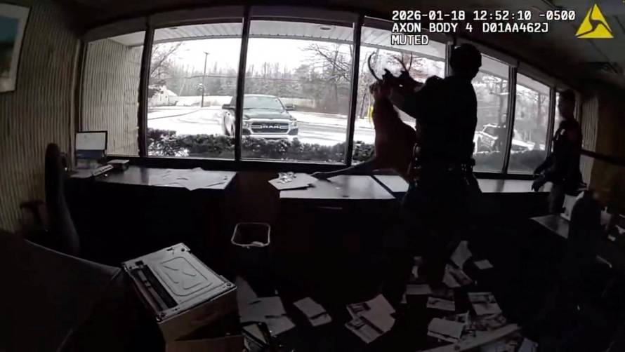 Police officers guide a buck to the outdoors after the buck crashed through the window at a bank in Suffolk county
