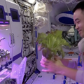 VIDEO Kineski astronauti sami oprašuju povrće uzgojeno u svemiru: 'Ovdje nema pčela'