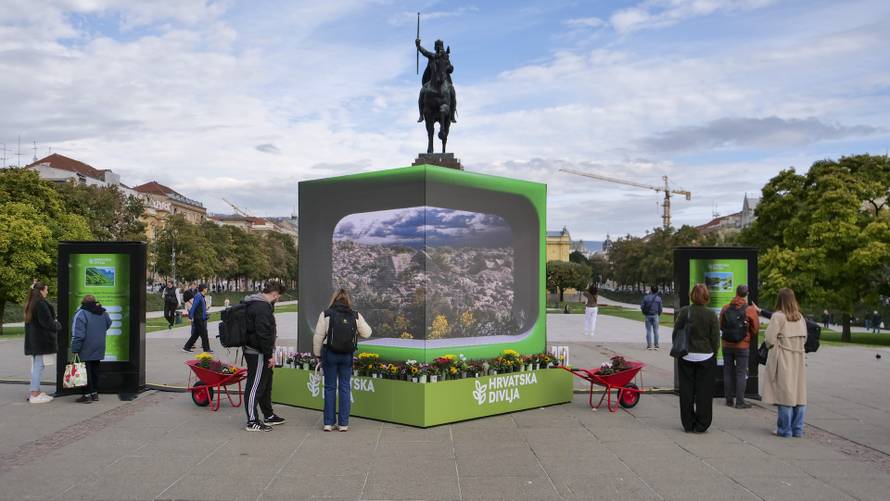 Dok Hrvatska divlja u centru Zagreba, samoborska gromotulja izumire