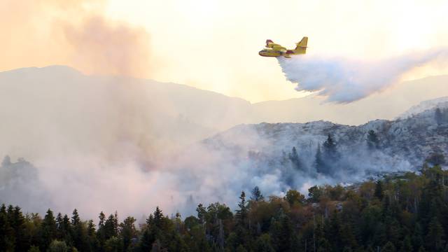 Planuo požar na Ugljanu: Gase ga vatrogasci i jedan aitractor