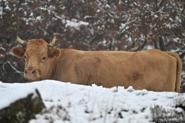 Na Biokovu pao novi snijeg