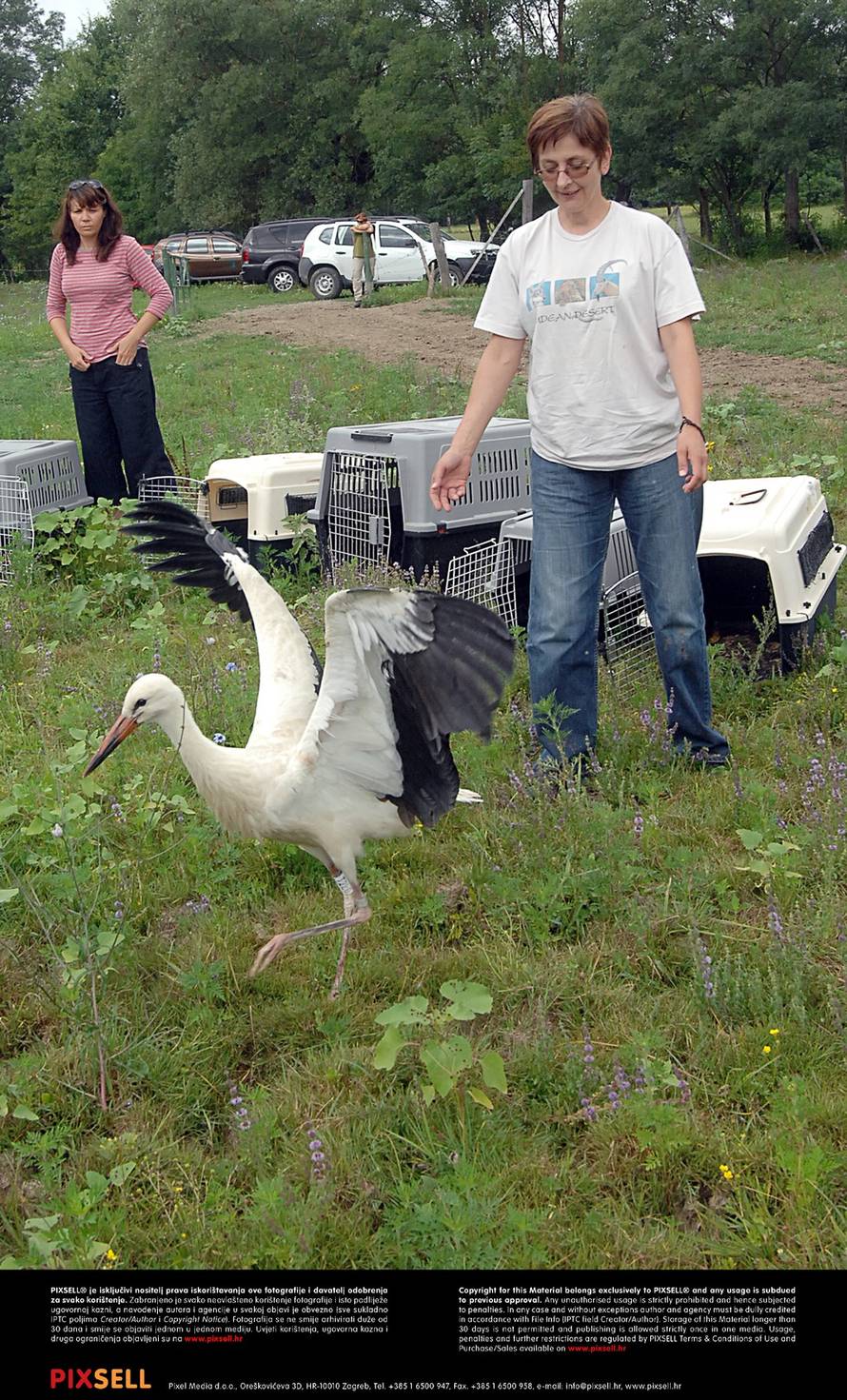 Nikola Čutuk/Pixsell