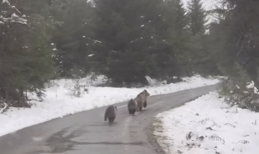 VIDEO Preslatke scene iz Gorskog kotara: 'Ova prizor je prava čarolija. Nevjerojatno'
