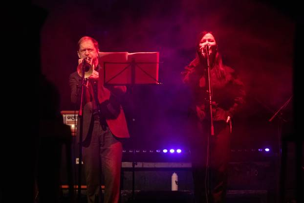 Zagreb: Koncert Vesne Pisarović u klubu Močvara