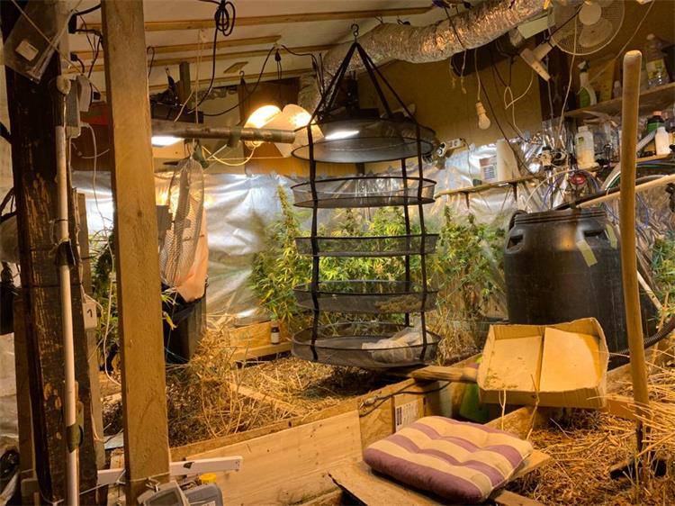 Policija je u Zagrebu otkrila laboratorij za uzgoj marihuane