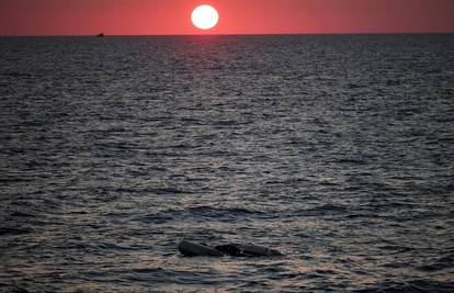 Prevrnuo se brod s migrantima kod obale Libije. Nestale su 42 osobe, vjeruje se da su svi mrtvi