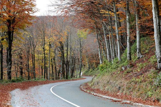 Delnice: Boje jeseni u Gorskom kotaru