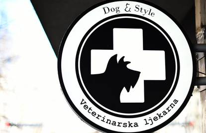 Zdravlje vašeg ljubimca počinje u zdjelici: Dog&style otkriva kako spriječiti probleme