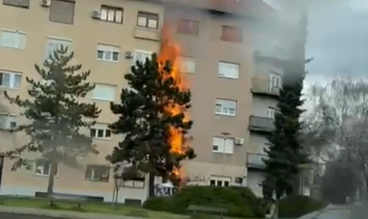 VIDEO Ulovili su piromana iz Zagreba: Snimili su ga kako je palio stablo, pokušao je pobjeći