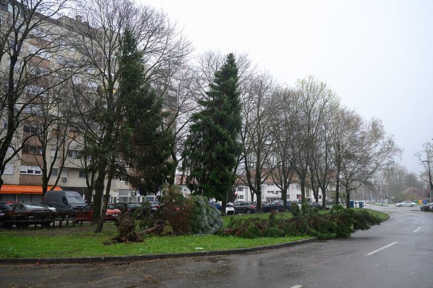 Zagreb: Olujni vjetar poharao Špansko, dignuti krovovi i isčupana stabla 
